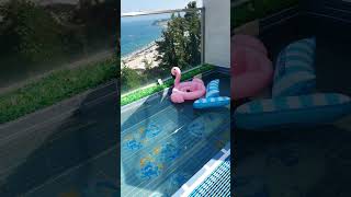 경주 스테이감포 풀빌라 (구 아이브 풀빌라) 여행 왔어요! #룸투어 #경주 #풀빌라