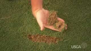 Fore The Golfer: Divot Repairs