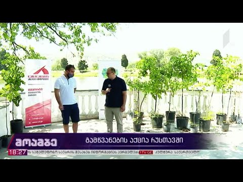 გამწვანების აქცია რუსთავში