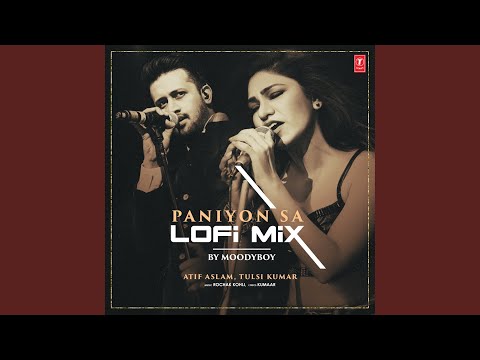 Paniyon Sa Lofi Mix Remix By Moodyboy