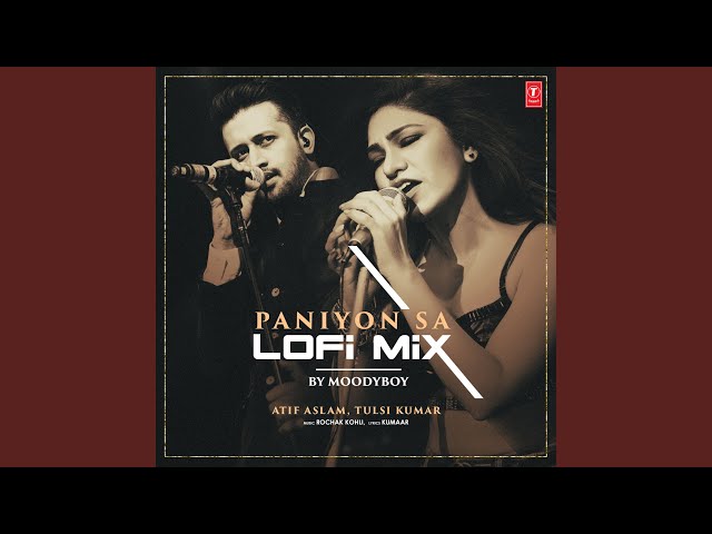 Paniyon Sa Lofi Mix (Remix By Moodyboy)