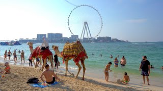 Marina Beach Dubai | JBR Beach Dubai | Beach Walking | Public Beach
