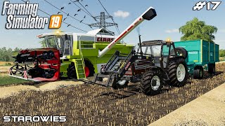 Harvesting oats with Claas harvester | Starowies | Farming Simulator 2019 | Episode 17 screenshot 3