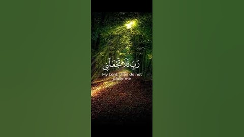 ﴿ قُلْ رَبِّ إِمَّا تُرِيَنِّي مَا يُوعَدُونَ(93) ﴾- سورة المؤمنون