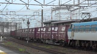 JR貨物 EF66-105 貨物列車 (1353レ 月曜でも重連ならず) 枇杷島駅貨物線