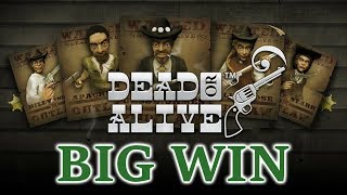 Dead or Alive online slot by Netent. Big win screenshot 1