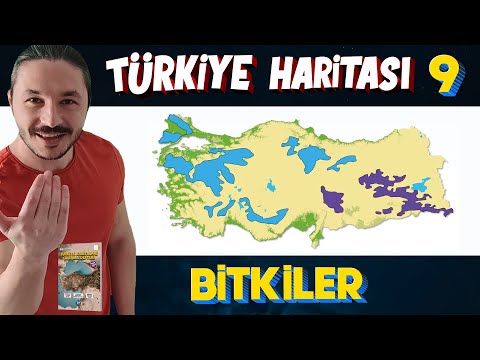 TÜRKİYE'NİN BİTKİLERİ - Türkiye Harita Bilgisi Çalışması  (KPSS-AYT-TYT)