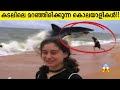       dangerous sea creatures in malayalam  storify