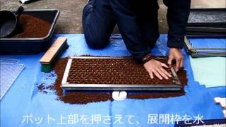 ひっぱりくんＨＰ－６　播種方法