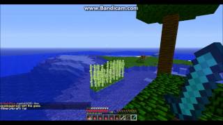 Skylordsmiley fly hack