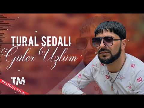 Tural Sedali - Hani Menim Qara Gozlum 2022