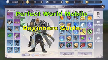 Perfect World Mobile Beginners Guide: Level Up,Power Up, Skills, Gear & More