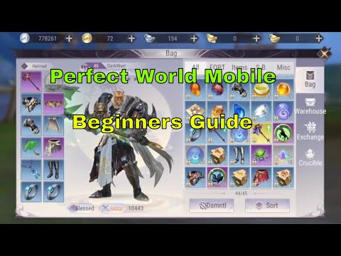 Perfect World Mobile