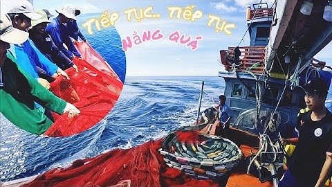 Bầy cá bạc má nổi lên khi cơm sáng vừa xong, thế là... | Đánh cá 2024 - Tập 73 | Sóng biển Hứa Đông