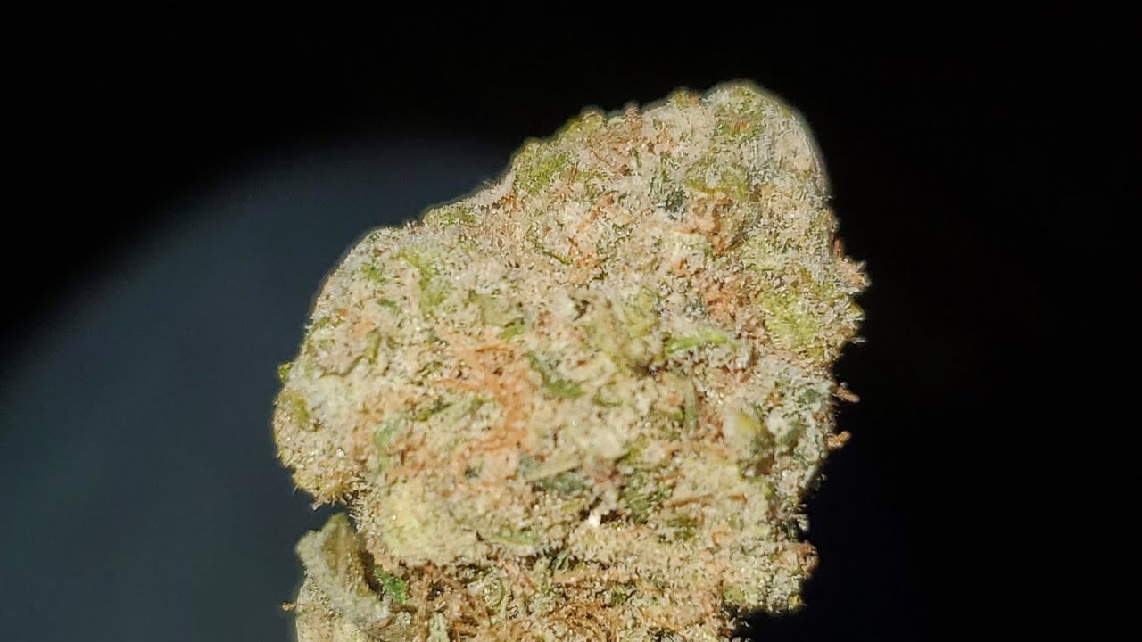 CASEY JONES 4 STRAIN WAKE AND BAKE STYLE YouTube