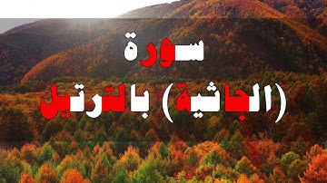 سورة الجاثية تلاوة هادئة بصوت الشيخ - عمر قطب