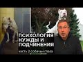 Собачьи глаза. От тебя фонит. Психология нужды и подчинения. Цыганский гипноз.