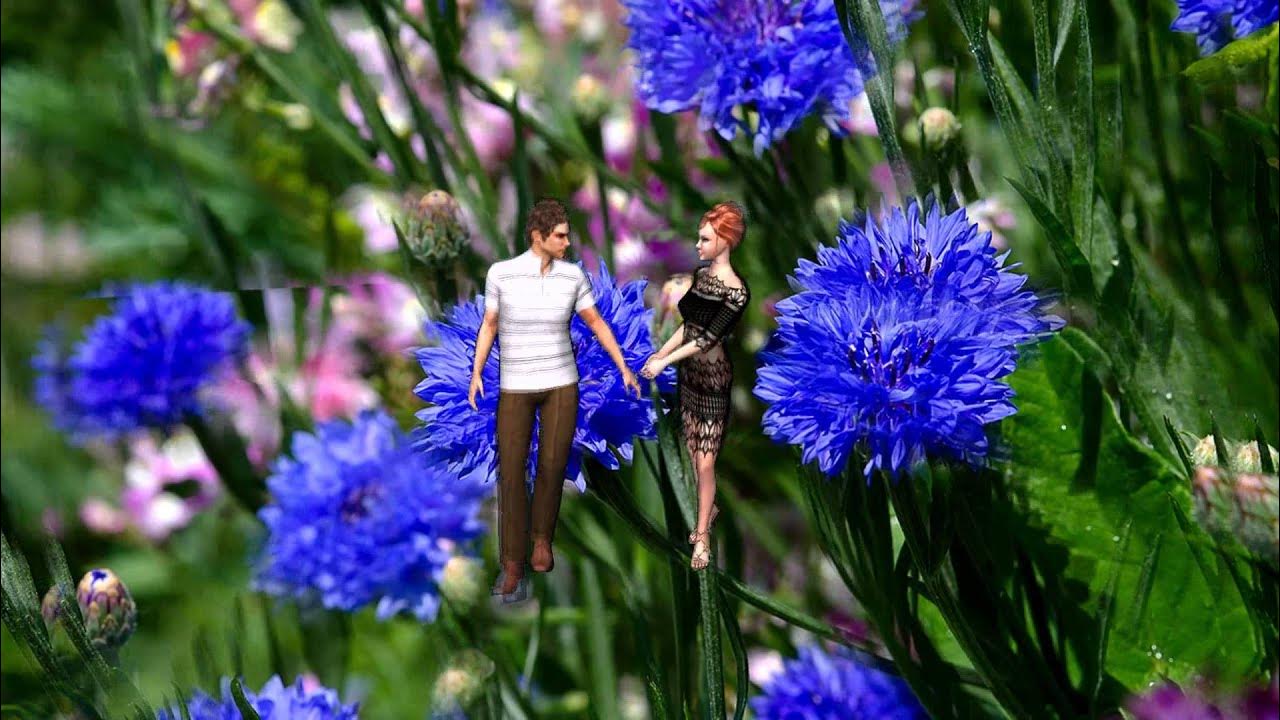 Девушка с васильками. Платье васильковое. Эх васильки васильки. Девочка на васильковом поле. Васильки и девочка.