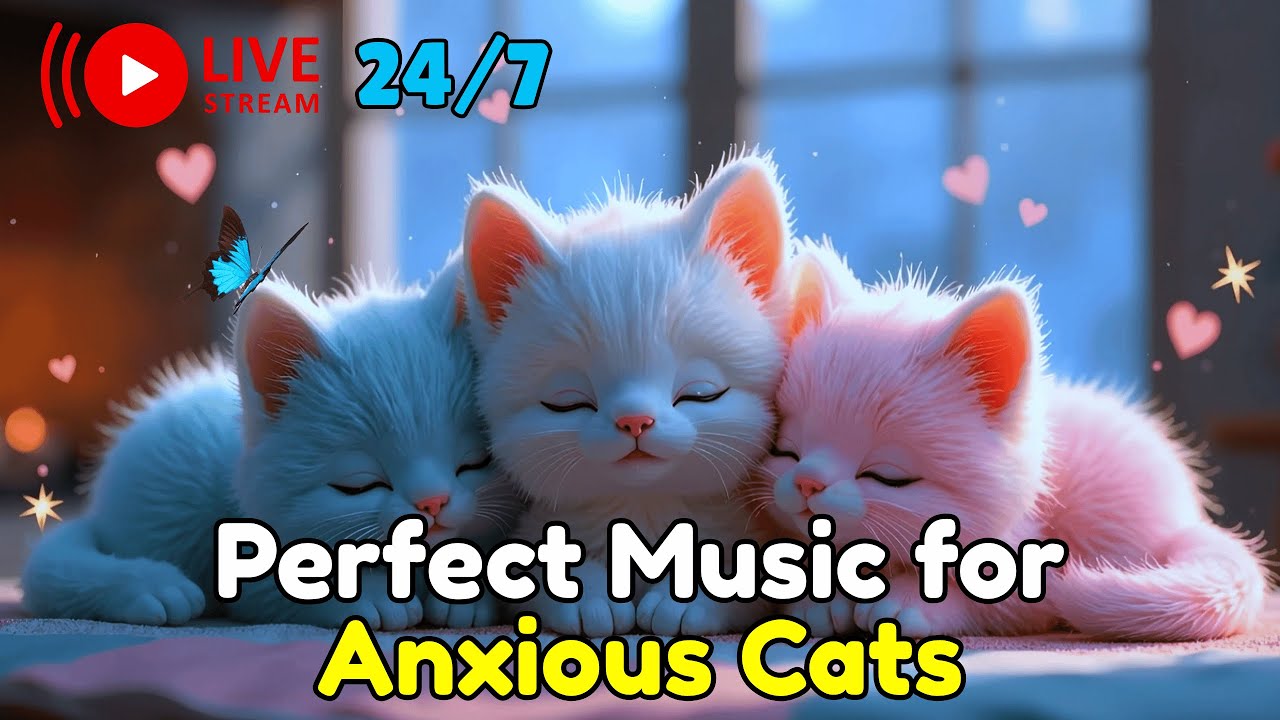 金曜コーヒー: Positive Mood with Labrador Relaxing Instrumental & Soft Bossa Nova Piano Music #0011T