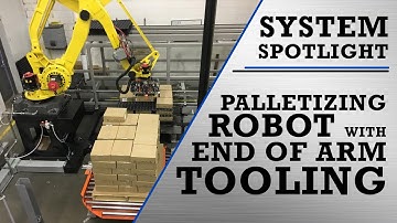 System Spotlight: Palletizing Robot for Handling Freezer Sheets, Cases, and Pallets