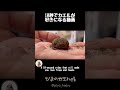10秒でカエルが好きになる動画
