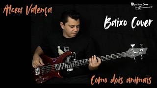 Como dois animais"Alceu Valença"Baixo Cover