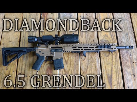 Diamondback DB-15 6.5 Grendel Review (1 Year Later...)