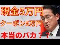【10万円分 現金 クーポン】10万円分って何?18歳以下に給付。5万円現金で、5万円分クーポンに分ける必要ある?所得制限の960万円とか意味わかりません。住民税非課税世帯に分けた理由なんだよ?