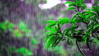 Tranquil Rainfall Harmony