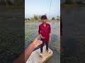 New magic trick ✨ amazing 🤩 magic 🪄 #magic #shorts #viral #trending #shortsfeed