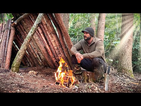Building Your ASMR Survival Shelter 🏕️ Outdoor ASMR - Camp Fire - Rain Storm - Nature Sounds