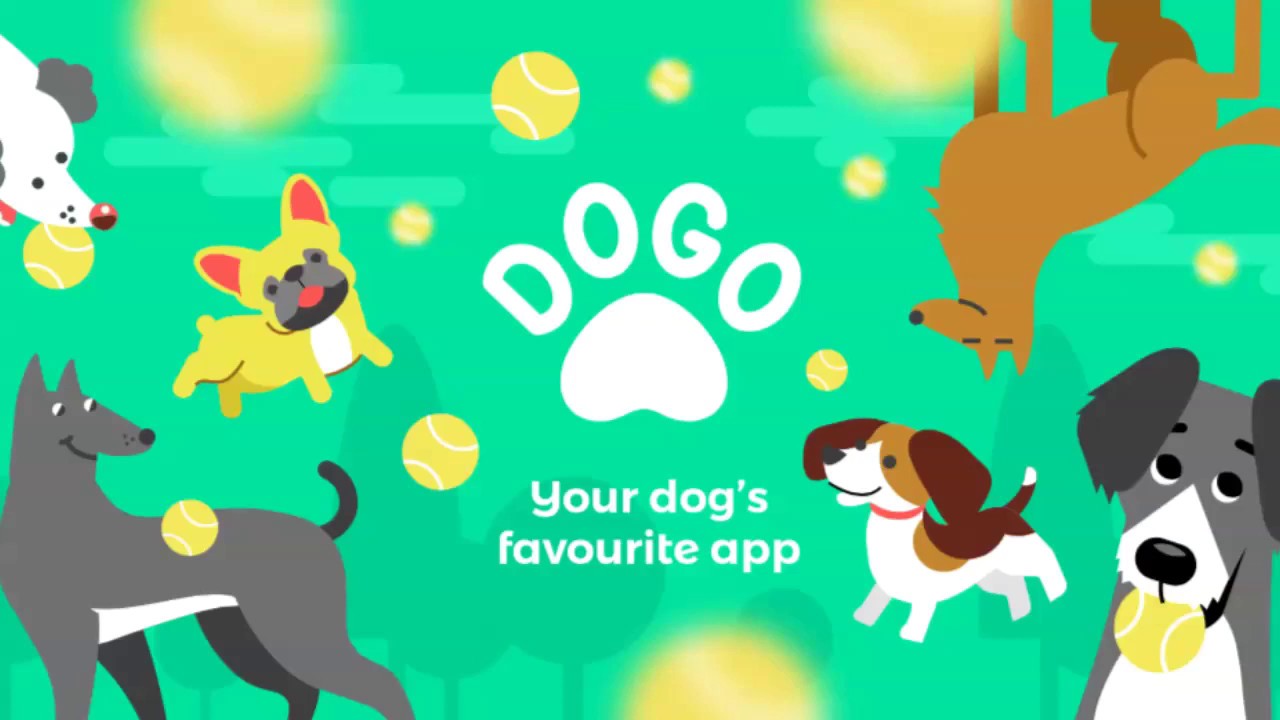 Become best friends with your dog using Dogo App! - YouTube