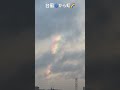 雨上がりの癒し