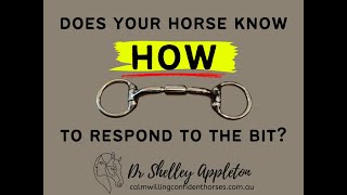 Does Your Horse Know HOW to Respond to the Bit?
