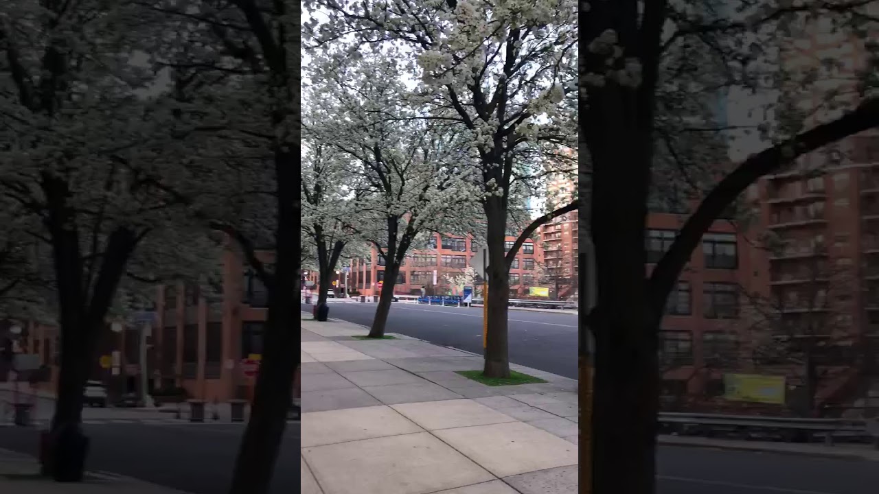 Residents In Jersey City Applauding For Health Care Workers