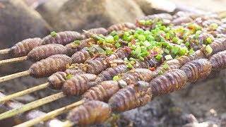 Do you dare to eat the roasted cicada pupa? The skin is crispy and the inside is fresh. It's so deli