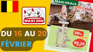 folder MAXI ZOO du 16 au 20 février 2022 😍 Arrivage - BELGIQUE