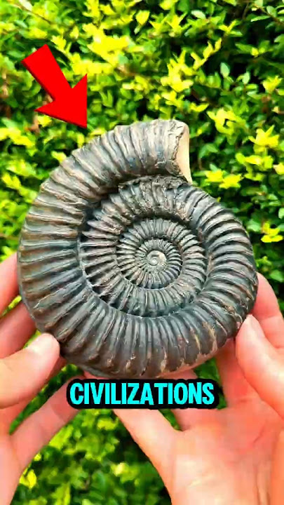 TOP 5 STONES USED IN ANCIENT CIVILIZATIONS 🔮💎 #AncientStones #StonePower #stoneage