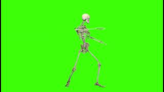 FX Guru Dancing Skeleton On Green Screen