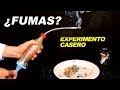 ¿Fumas? Experimento Casero muestra Efecto en Pulmones