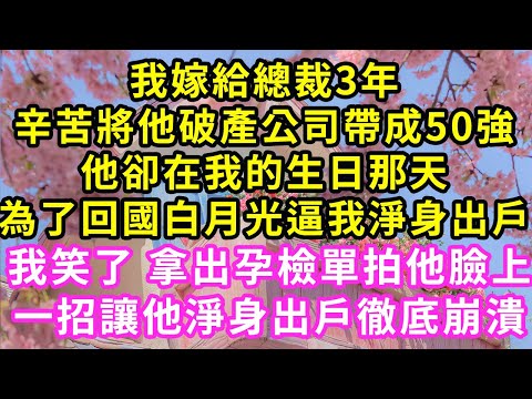 我嫁給總裁3年，手把手將他破產公司帶成50強，他卻在生日那天，為了回國白月光逼我淨身出戶，我笑了 拿出孕檢單拍他臉，一招讓他淨身出戶徹底崩潰#甜寵#灰姑娘#霸道總裁#愛情#婚姻#小嫻說故事#暖風故事匯