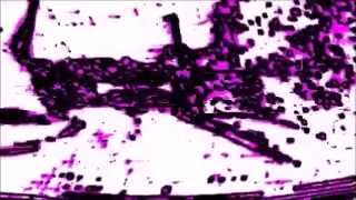 Aleksi Perälä - Level 3 - UK74R1405016