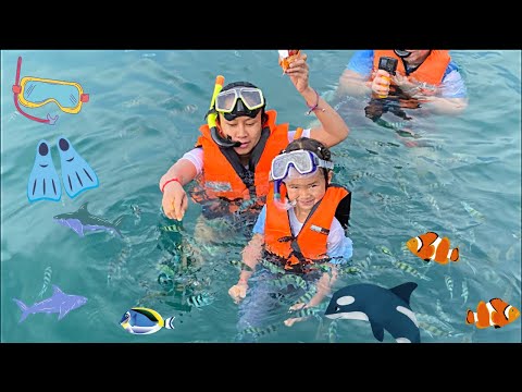 3 Islands ดำน้ำเกาะช้าง ทริปครึ่งวัน 3 เกาะ เพิ่มพูลทรัพย์ Snorkeling Tour Koh Chang