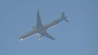 Morning Arrival A21N