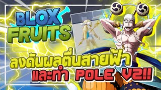 Roblox: Blox Fruits ⚡ ลงดันผลตื่นสายฟ้าแสนโวลต์และวิธีได้ Pole v2!! สกิลที่โหดสุดๆ ใช้ทีโลกแตก!! 555