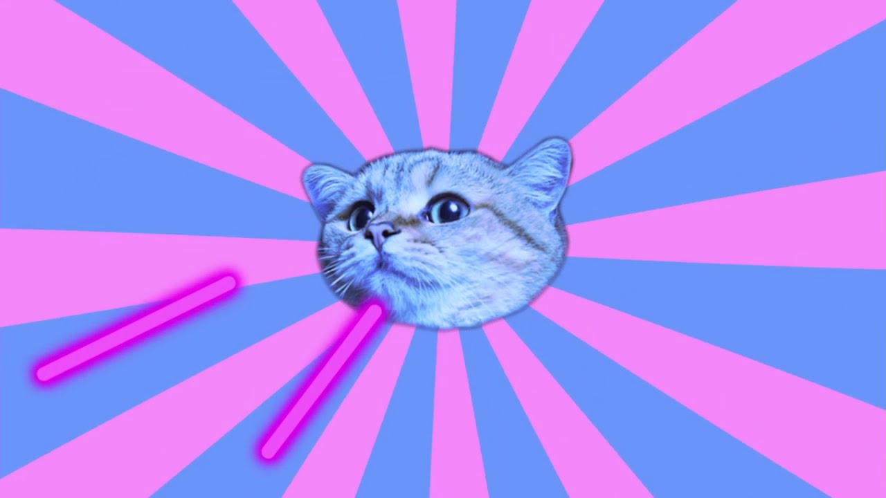 Jordan Etem: The Cat Came Back