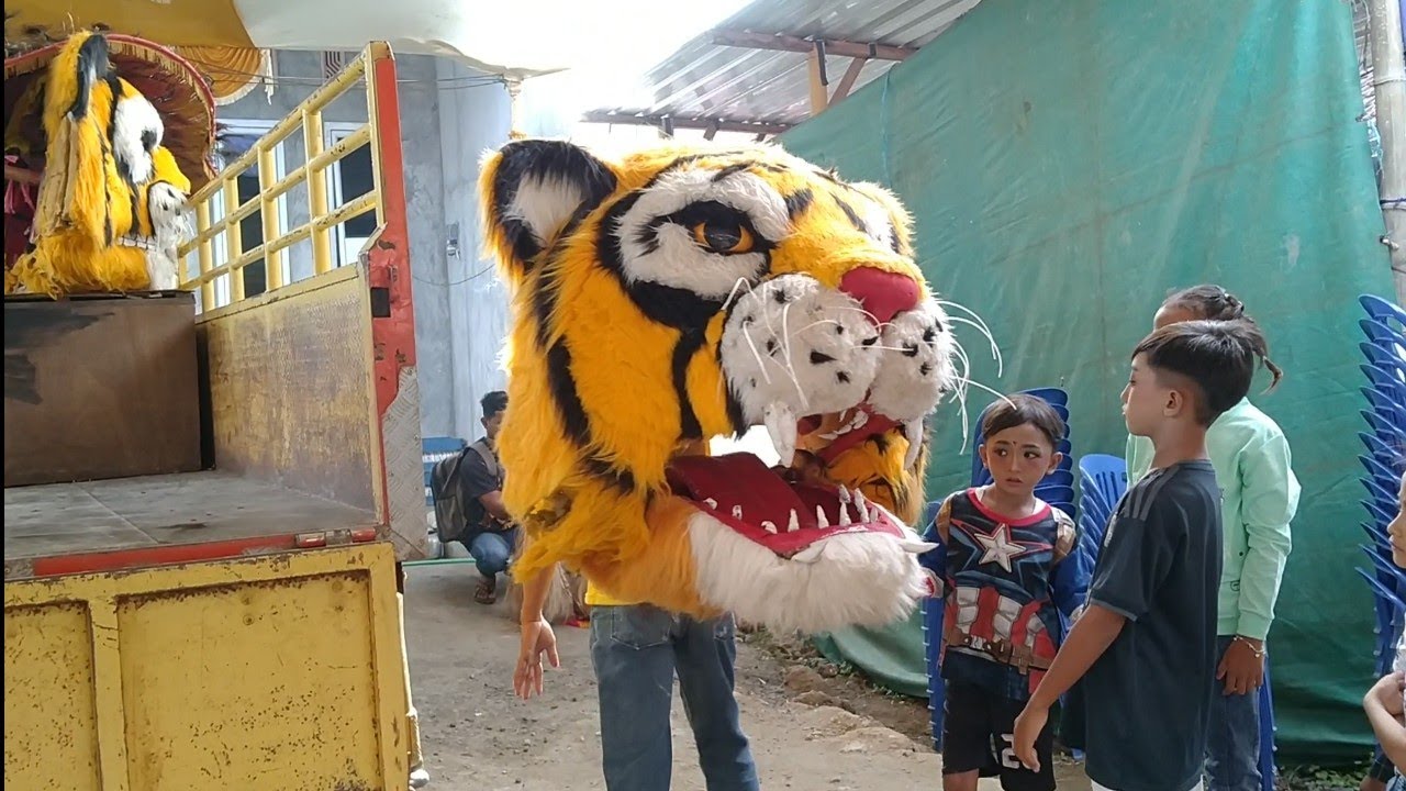 Wayahe Barongan Reog Singo Makaryo Diturunkan Dari Truk Lalu Dipasang Mahkotanya