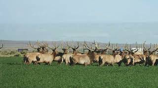 Little Sandy Ranch for sale in Wyoming