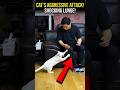 about cat 🐈#shorts #short