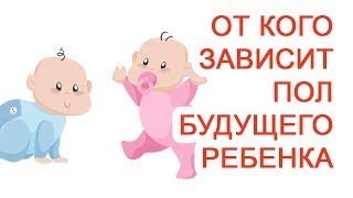 картинка: От кого зависит пол будущего ребенка / Доктор Черепанов